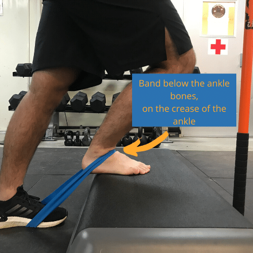 the placement of the band is important for the banded ankle mobilization